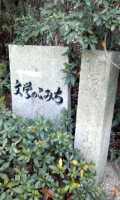 1384899556_127.jpg