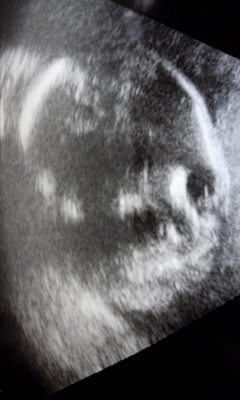 1740675160_181.jpg