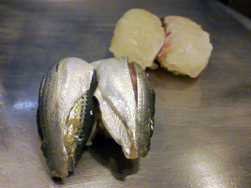 20090210080023.jpg