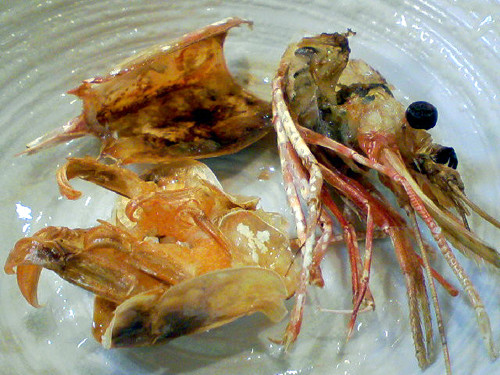 20090218205524.jpg