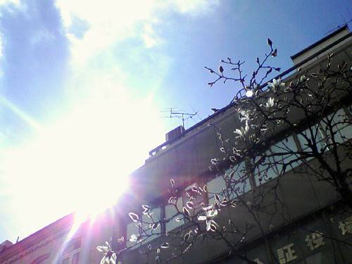 20090310230457.jpg