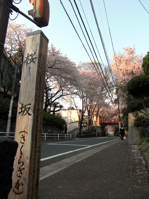 20090410014400.jpg