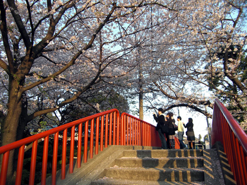20090410014445.jpg