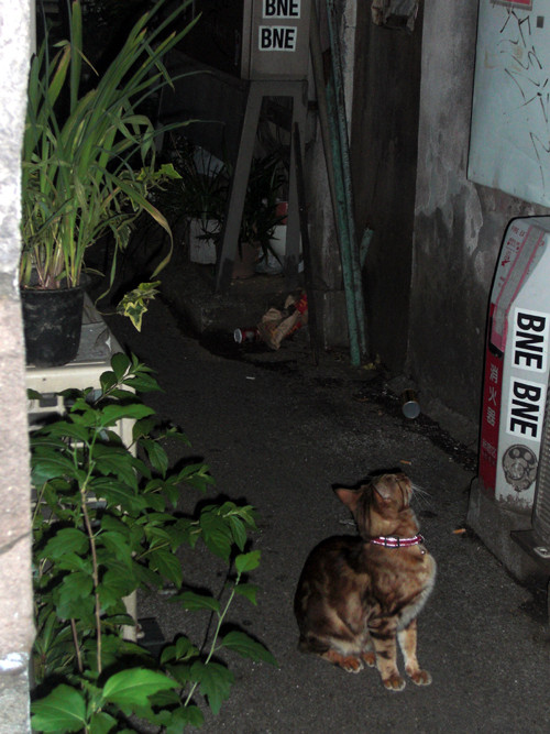 20090526215905.jpg