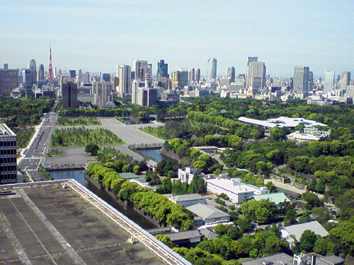 20090529065831.jpg
