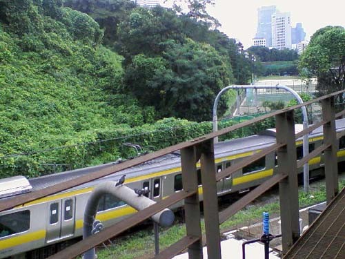 20090724004206.jpg