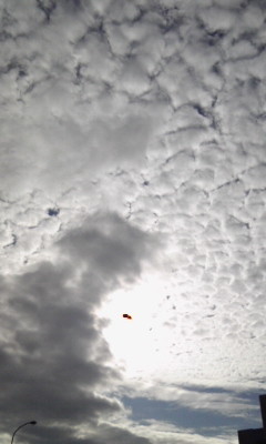 20100810093020.jpg