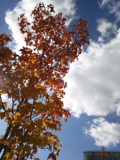 21431531_1836021572_132large.jpg