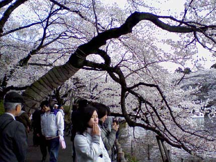 761920715_44.jpg
