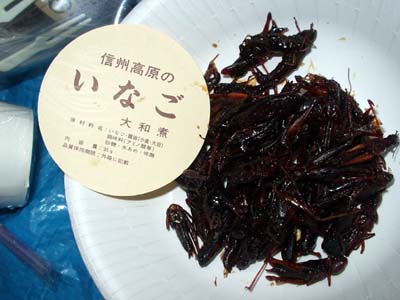 摜 062.jpg