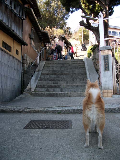 DSCF1228.jpg