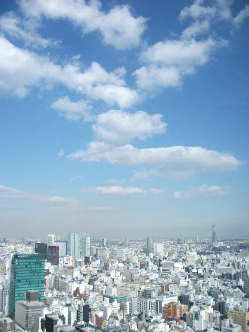 DSCF1361.jpg