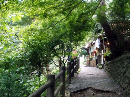 akikawa13.jpg