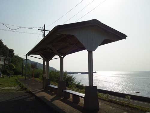 ehime11.jpg