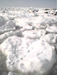 hokkaido3.jpg