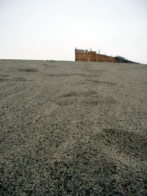 nakatajima6.jpg