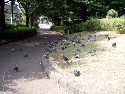 suehiro01.jpg