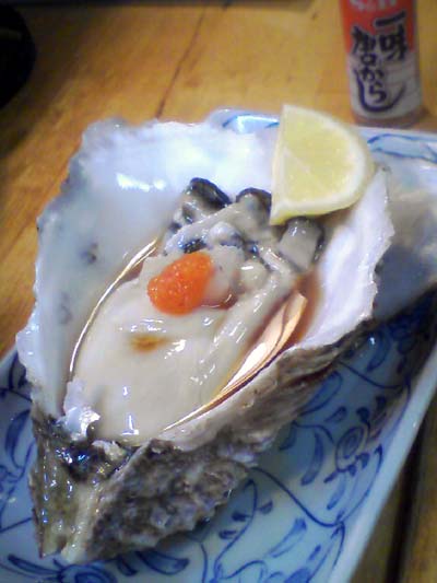 suehiro16.jpg