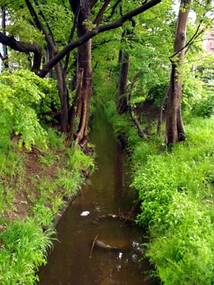 tamagawa.jpg