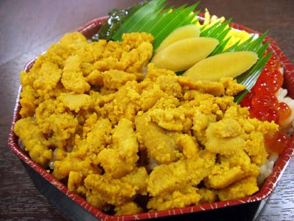 tohoku6.jpg