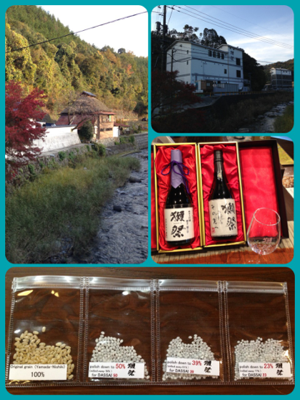 image-20131125071850.png
