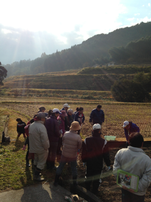 image-20131202184345.png