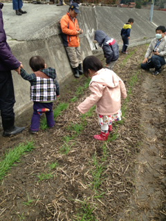 image-20140304140042.png